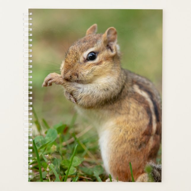 2024 Chipmunk in the Adirondacks Planner (Front)