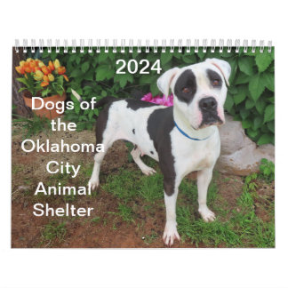 2024 Dogs of the Oklahoma City Animal Shelter Calendar