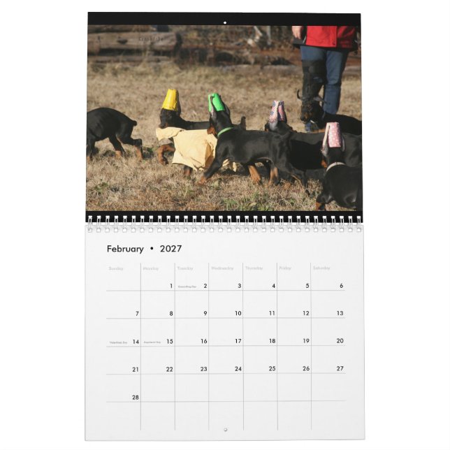 2024 DT Calendar (Feb 2027)