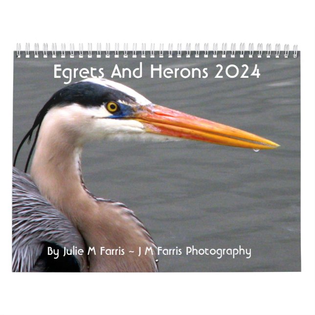 2024 Egrets & Herons Calendar (Cover)