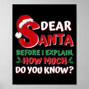 2024 Funny Christmas Shirts Kids Adults Santa I Ca Poster