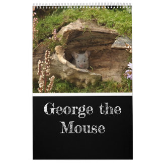 2024 George the mouse calendar 24