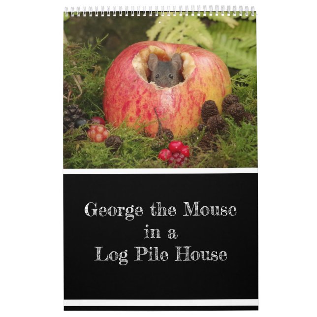 2024 George the mouse in a log pile house new  Calendar (Cover)