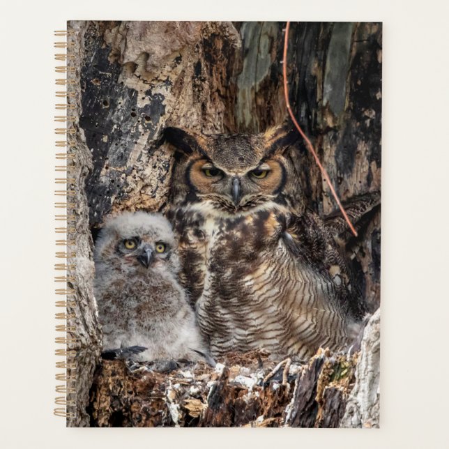 2024 Great Horned Owl Planner (Front)