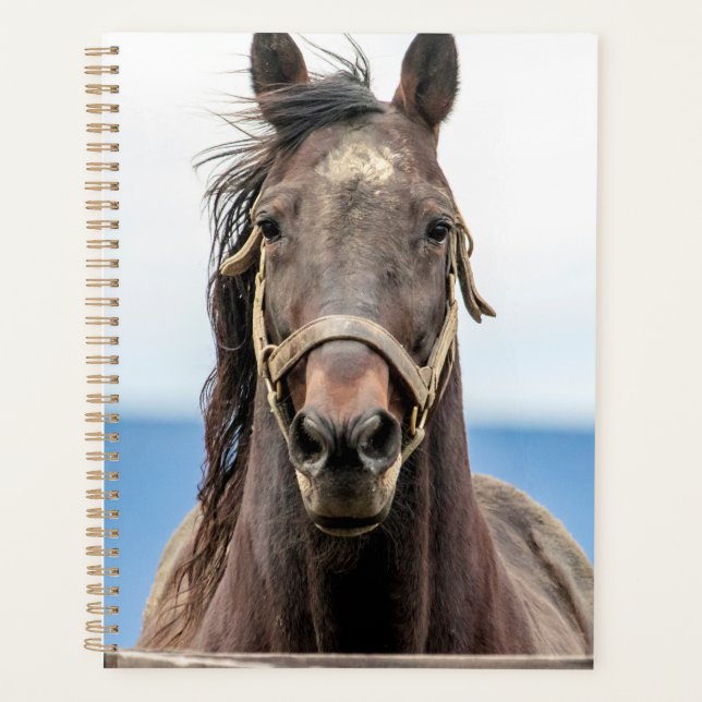 2024 Horse Planner (Front)