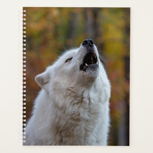 2024 Howling Wolf Planner (Front)
