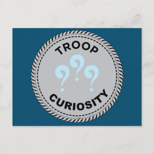 2024 IGGPPCamp Troop Pride Questions Postcard