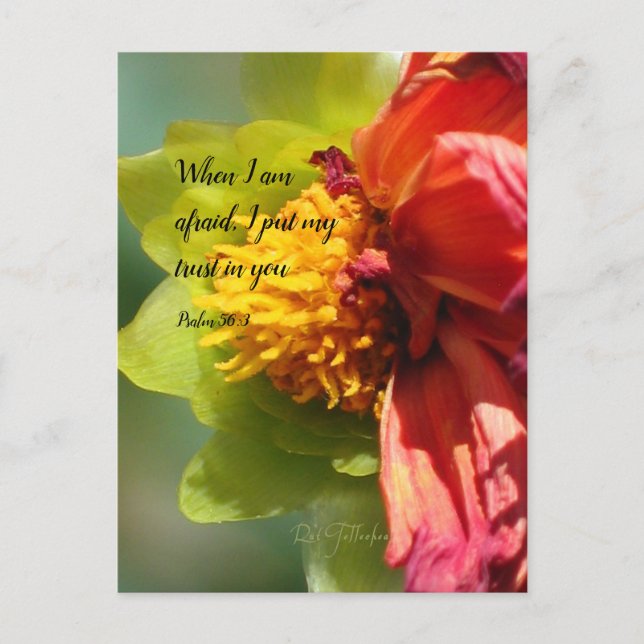 2024 JW year text Psalm 56:3  Invitation Postcard (Front)