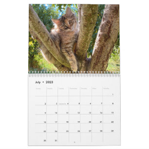 2024 Monthly Wall Cat Calendar