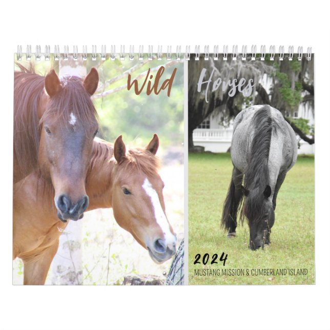 2024 Mustang Mission's Wild Horses - Calendar (Cover)