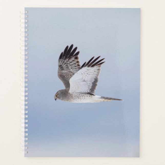 2024 Northern Harrier Hawk Planner (Front)