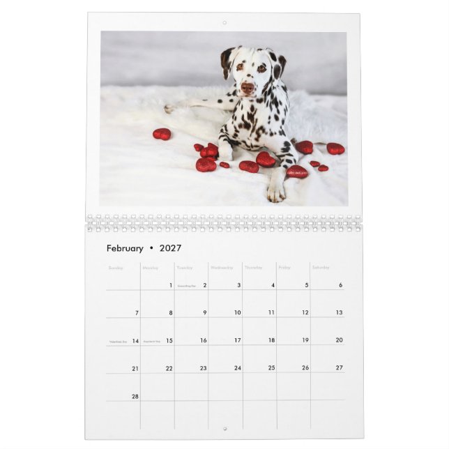 2024 Peace Love & Chocolate Dalmatien Calendrier (Feb 2027)