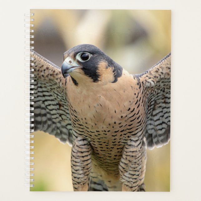 2024 Peregrine Falcon Planner (Front)