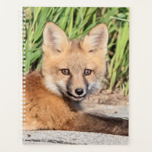 2024 Red Fox Kit Planner