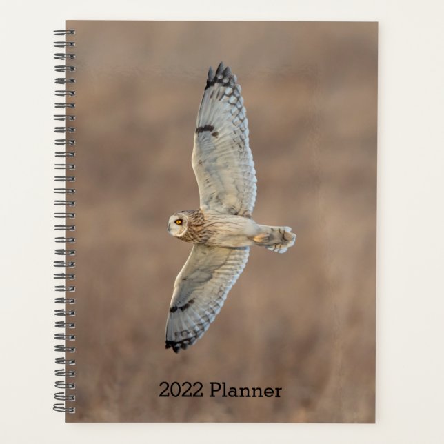 2024 Short-Eared Owl Planner (Front)