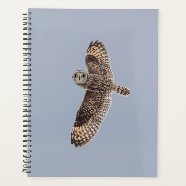 2024 Short-Eared Owl Planner (Front)