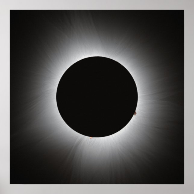 2024 Solar Eclipse - Corona Poster (Front)