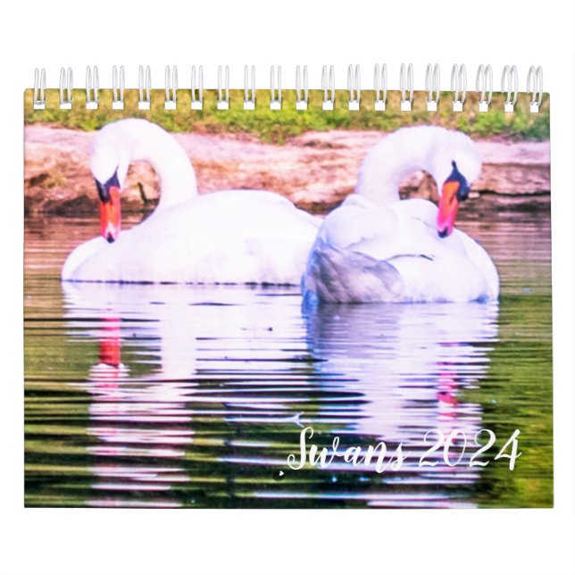 2024 Swan Calendar (Cover)