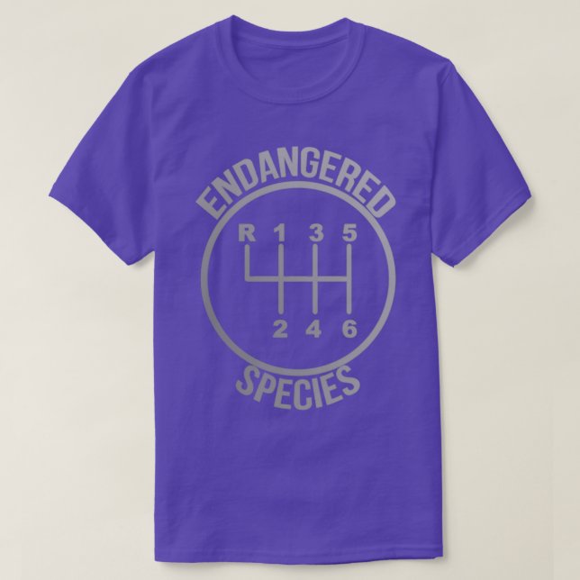 2024 T-Shirt (Design Front)