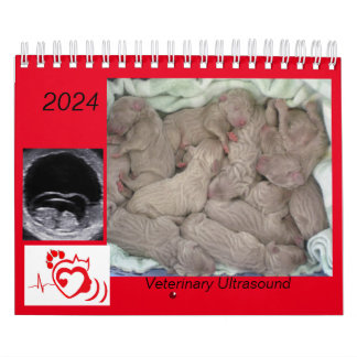 2024 Veterinary Ultrasound Imaging Calendar