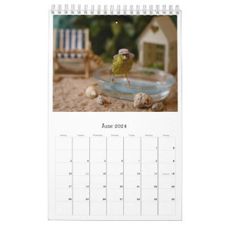 2024 Wall Calendar Cute Birds Pets Canary