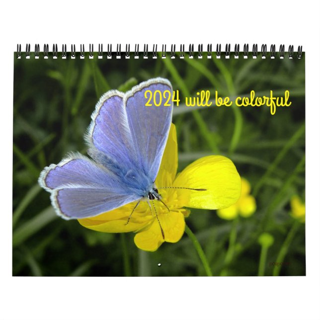 2024 will be colourful calendar (Cover)