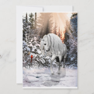 2024 Winter Wander Horse Holiday Card