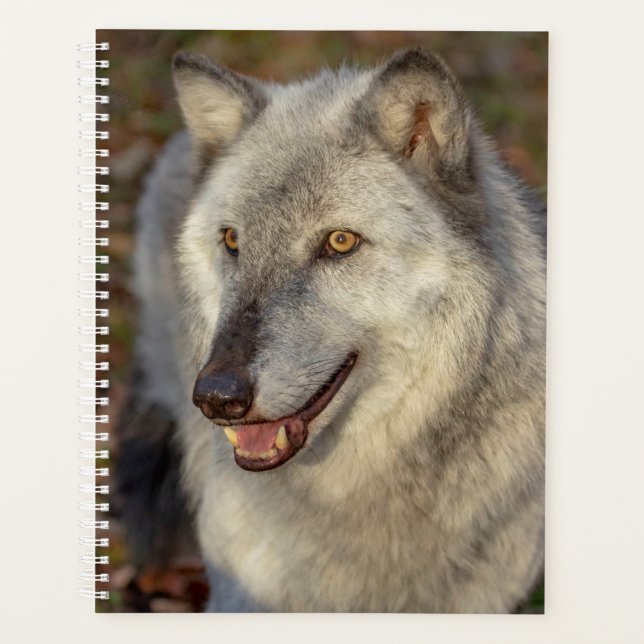 2024 Wolf Planner (Front)