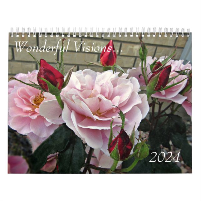 2024 Wonderful Visions... Medium Wall Calendar (Cover)