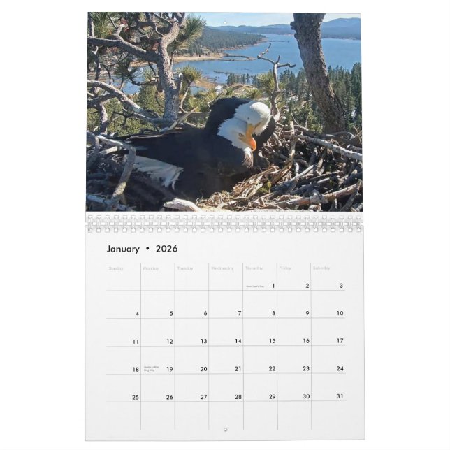 2025-2026 Big Bear Eagles Calendar  (Jan 2026)