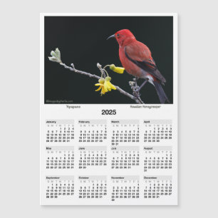 2025 5x7" Calendar Apapane Hawaiian Honeycreeper