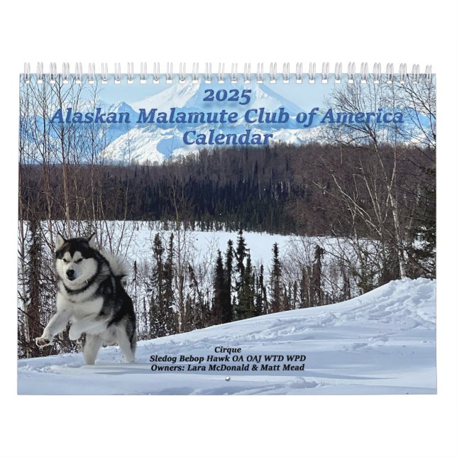 2025 Alaskan Malamute Club of America Calendar (Cover)