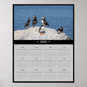 2025 Atlantic Puffin in Maine Wall Calendar Poster