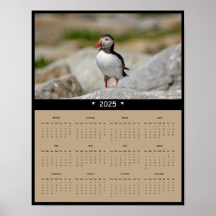 2025 Atlantic Puffin in Maine Wall Calendar Poster
