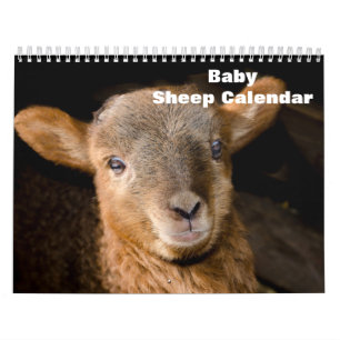 2025 Baby Sheep Lamb Calendar