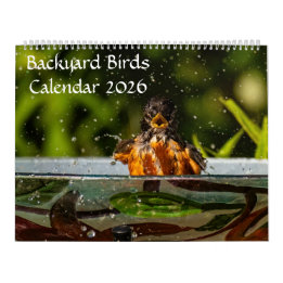 2025 Backyard Birds Calendar