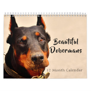 2025 Beautiful Dobermans Calendar