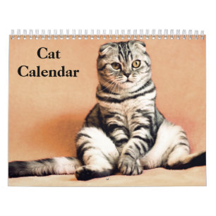 2025 Bengal Cat Calendar