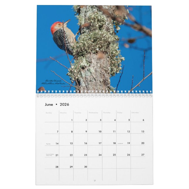 2025 Birding for Woodpeckers Calendar (Jun 2026)