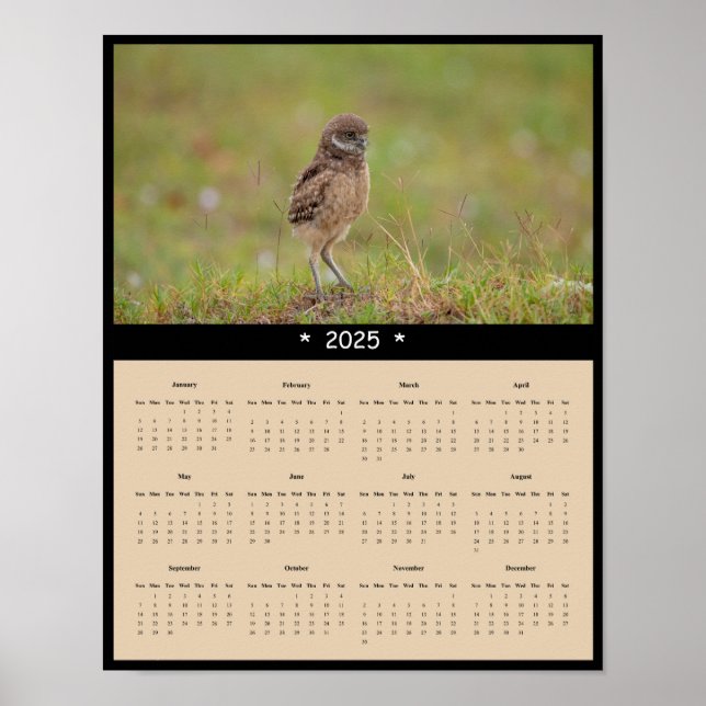 2025 Burrowing Owl Wall Calendar Poster (Front)