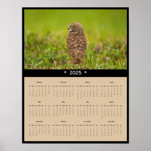 2025 Burrowing Owl Wall Calendar Poster