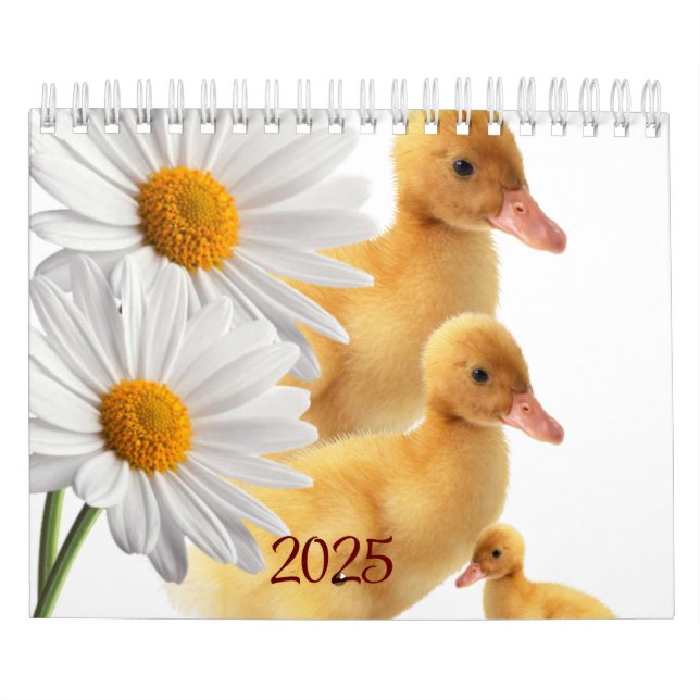 2025 Calendar Ducks Daisy Floral  (Cover)
