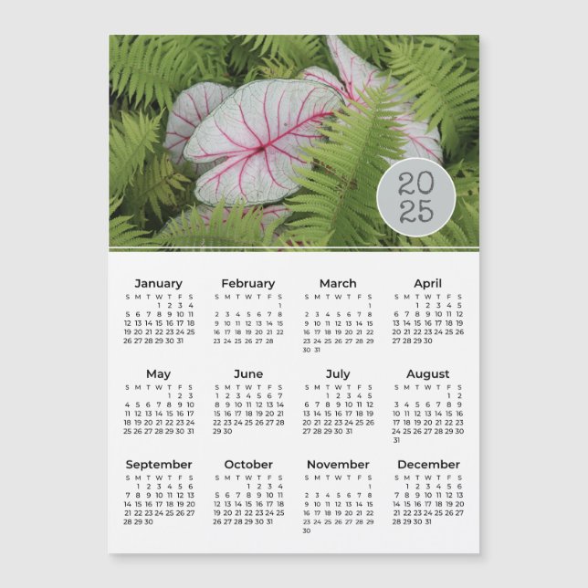 2025 Calendar Ferns & Caladium Photo Magnet (Front)