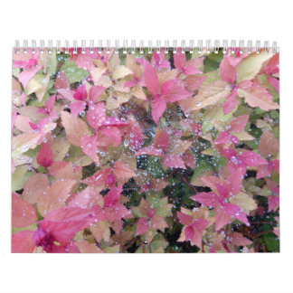 2025 calendar with nature photos