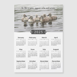 2025 Calendrier Cygne bébé - Magnet photo