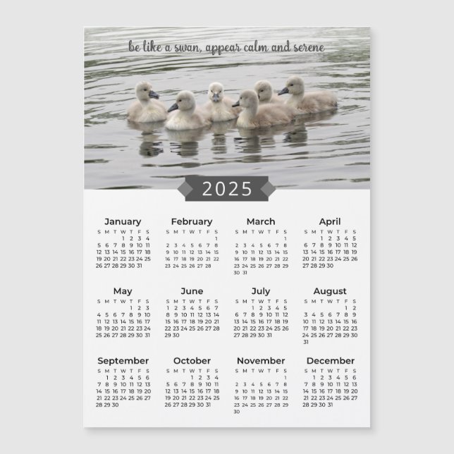 2025 Calendrier Cygne bébé - Magnet photo (Devant)