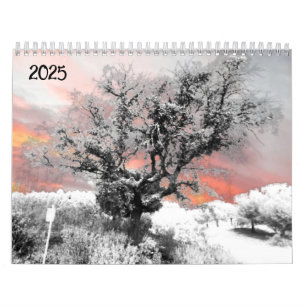 2025 Calendrier Planificateur art et design