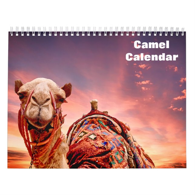 2025 Camel Calendar (Cover)