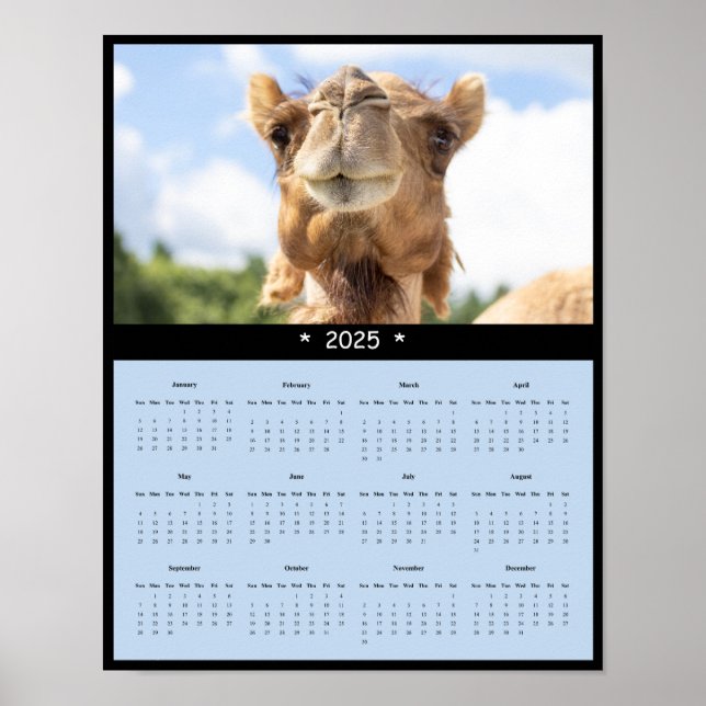 2025 Camel Wall Calendar Poster (Front)