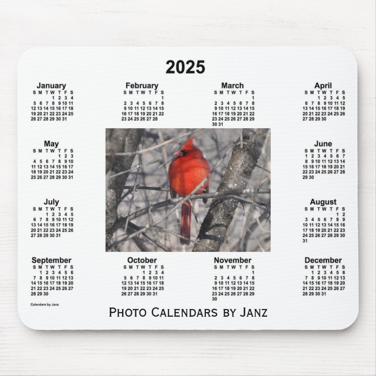 2025 Cardinal Framed Photo Calendar by Janz Mouse Pad Zazzle